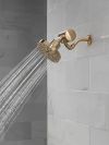 DELTA Clarifi Premium Shower Filter Attachment — Champagne Bronze