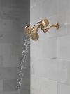 DELTA Clarifi Premium Shower Filter Attachment — Champagne Bronze