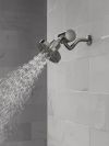 DELTA Clarifi Premium Shower Filter Attachment — Black Stainless