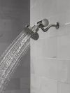 DELTA Clarifi Premium Shower Filter Attachment — Black Stainless