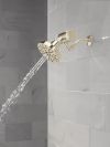 DELTA Clarifi Premium Shower Filter Attachment — Polished Nickel
