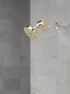 DELTA Clarifi Premium Shower Filter Attachment — Polished Nickel