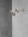 DELTA Clarifi Premium Shower Filter Attachment — Stainless