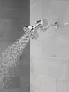 DELTA Clarifi Premium Shower Filter Attachment — Chrome