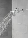 DELTA Clarifi Premium Shower Filter Attachment — Chrome