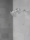DELTA Universal Showering Components H2OKINETIC 5-Setting Contemporary Raincan Shower Head — Lumicoat® Chrome