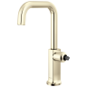 Lumicoat® Polished Nickel