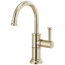 Polished Nickel