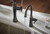 BRIZO Tulham Beverage Faucet — Matte Black / Brilliance Black Onyx