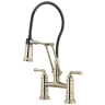Polished Nickel
