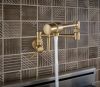 BRIZO European Wall Mount Pot Filler Faucet — Luxe Gold