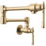 Luxe Gold / Polished Gold