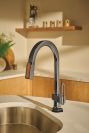 BRIZO Frank Lloyd Wright Pull-Down Kitchen Faucet Arc Lever with Glass Inlay Handle Kit​ — Brilliance Black Onyx / Clear
