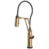Polished Gold