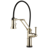 Polished Nickel