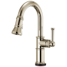 Polished Nickel