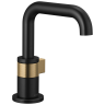 Matte Black/Luxe Gold