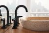 BRIZO Jason Wu for BRIZO Widespread Lavatory High Lever Handles — Matte Black