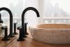 BRIZO Jason Wu for BRIZO Widespread Lavatory High Lever Handles — Matte Black