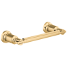 Polished Gold