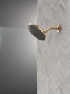 DELTA Universal Showering Components PivotPro Raincan Shower Head with TouchClean Spray Face — Champagne Bronze