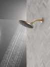 DELTA Universal Showering Components PivotPro Raincan Shower Head with TouchClean Spray Face — Champagne Bronze