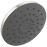 Spotshield Brushed Nickel