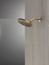 DELTA Universal Showering Components PivotPro Raincan Shower Head — Champagne Bronze
