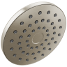 Spotshield Brushed Nickel