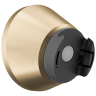Champagne Bronze
