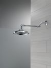 DELTA Universal Showering Components Shower Head with Adjustable Arm — Chrome