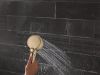 DELTA Universal Showering Components 5-Setting In2ition with ProClean — Champagne Bronze
