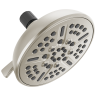 Spotshield Brushed Nickel