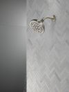 DELTA Universal Showering Components 8-Setting Shower Head — Spotshield Brushed Nickel