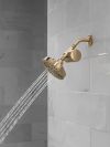 DELTA Clarifi Standard Shower Filter Attachment — Champagne Bronze
