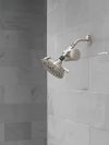 DELTA Clarifi Standard Shower Filter Attachment — Spotshield Brushed Nickel