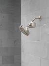DELTA Clarifi Standard Shower Filter Attachment — Stainless