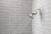 DELTA Clarifi Standard Shower Filter Attachment — Stainless