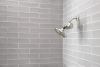 DELTA Clarifi Standard Shower Filter Attachment — Stainless
