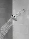 DELTA Clarifi Standard Shower Filter Attachment — Chrome