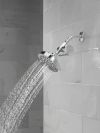 DELTA Clarifi Standard Shower Filter Attachment — Chrome