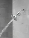 DELTA Clarifi Standard Shower Filter Attachment — Chrome