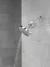 DELTA Clarifi Standard Shower Filter Attachment — Chrome