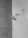DELTA Clarifi Standard Shower Filter Attachment — Chrome