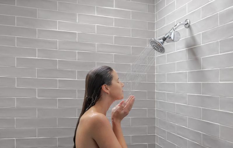 DELTA Clarifi Standard Shower Filter Attachment — Chrome