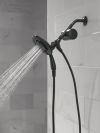 DELTA Clarifi Shower Filter Attachment with 4-Setting In2ition — Matte Black