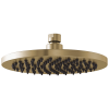 BRIZO Essential Shower 8" Linear Round Single-Function Raincan Shower Head - 2.5 GPM — Luxe Gold
