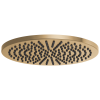 BRIZO Essential Shower 12" Linear Round Single-Function Raincan Shower Head - 2.5 GPM — Luxe Gold