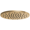 BRIZO Essential Shower 12" Linear Round Single-Function Raincan Shower Head - 1.75 GPM — Luxe Gold