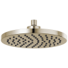 BRIZO Essential Shower 10" Linear Round Single-Function Raincan Shower Head - 2.5 GPM — Polished Nickel